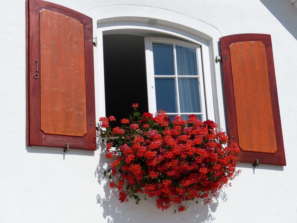 window, shutters, house, open, geraniums, balcony plant, red, geraniums, geraniums, geraniums, geraniums, geraniums