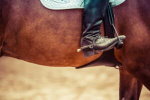 Detailed view of a rider's boot in a stirrup on a horse, showcasing equestrian gear.