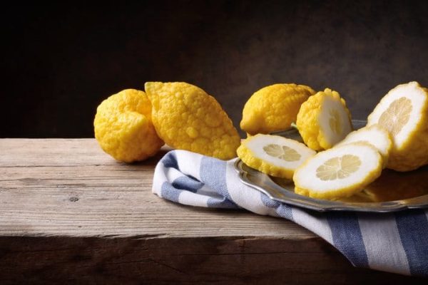 Gli oli essenziali terra – il cedro