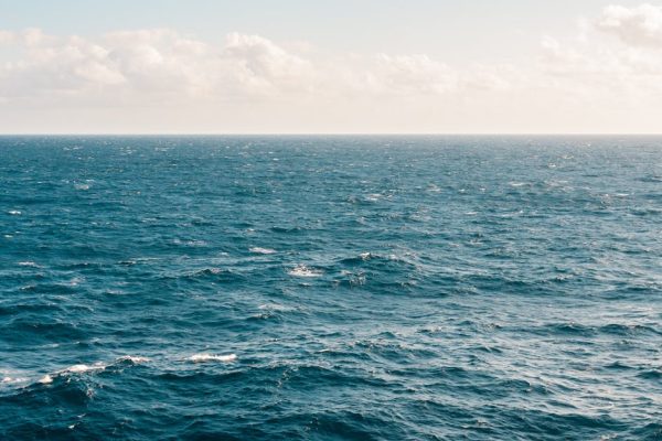 Tranquil ocean view under a clear sky, capturing the serene beauty of the expansive water.