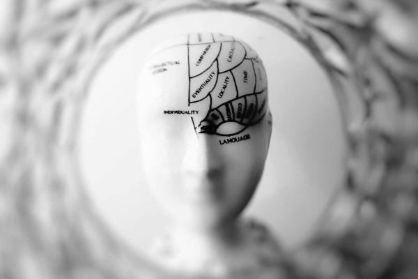 Il Marketing Olfattivo e le Neuroscienze: perché il profumo guida emozioni, memoria e decisioni