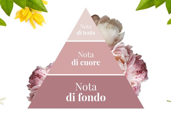 La piramide olfattiva – le note olfattive del profumo